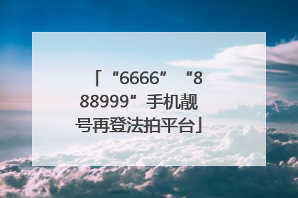 “6666”“888999”手机靓号再登法拍平台