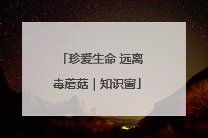 珍爱生命 远离毒蘑菇｜知识窗