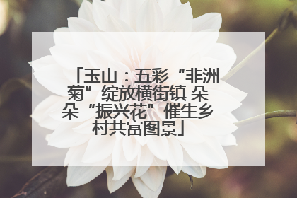 玉山：五彩“非洲菊”绽放横街镇 朵朵“振兴花”催生乡村共富图景