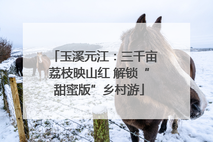 玉溪元江：三千亩荔枝映山红 解锁“甜蜜版”乡村游