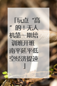 玩点“高”的！无人机第一期培训班开班 南平延平低空经济提速