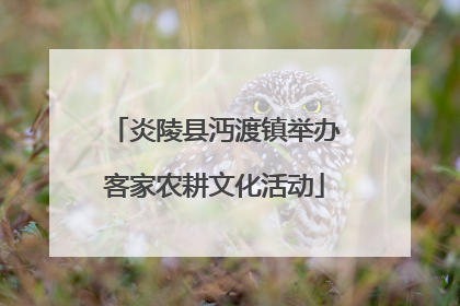 炎陵县沔渡镇举办客家农耕文化活动