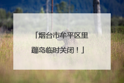 烟台市牟平区里蹦岛临时关闭！