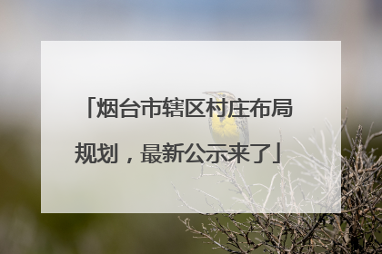 烟台市辖区村庄布局规划，最新公示来了