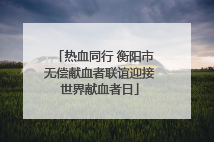 热血同行 衡阳市无偿献血者联谊迎接世界献血者日