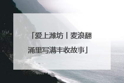 爱上潍坊丨麦浪翻涌里写满丰收故事