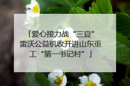 爱心接力战“三夏” 雷沃公益机收开进山东重工“第一书记村”