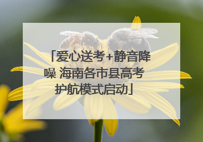 爱心送考+静音降噪 海南各市县高考护航模式启动