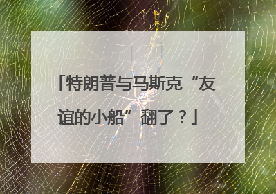 特朗普与马斯克“友谊的小船”翻了？