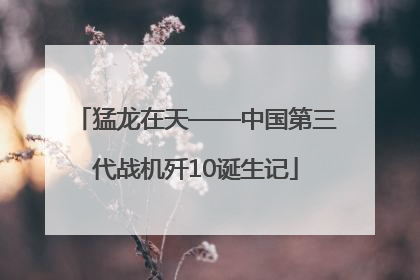 猛龙在天——中国第三代战机歼10诞生记