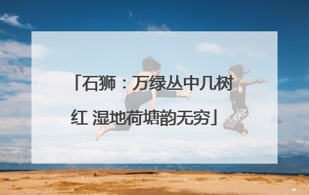 石狮：万绿丛中几树红 湿地荷塘韵无穷