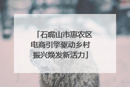 石嘴山市惠农区电商引擎驱动乡村振兴焕发新活力