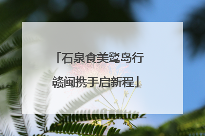 石泉食美鹭岛行 赣闽携手启新程