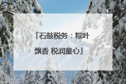 石鼓税务：粽叶飘香 税润童心