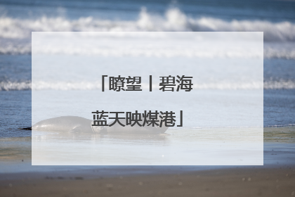 瞭望丨碧海蓝天映煤港