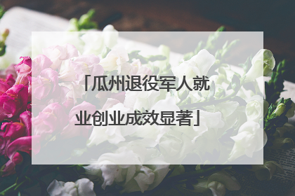 瓜州退役军人就业创业成效显著