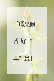 瓜果飘香 好“丰”景