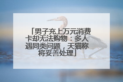 男子充上万元消费卡却无法购物：多人遇同类问题，天猫称将妥善处理