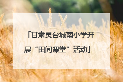 甘肃灵台城南小学开展“田间课堂”活动