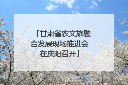甘肃省农文旅融合发展现场推进会在庆阳召开