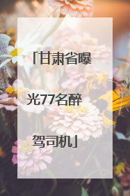 甘肃省曝光77名醉驾司机