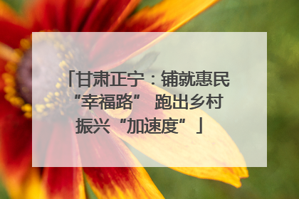 甘肃正宁：铺就惠民“幸福路” 跑出乡村振兴“加速度”