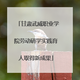 甘肃武威职业学院劳动研学实践育人取得新成果