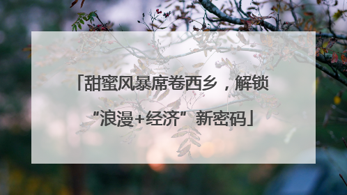 甜蜜风暴席卷西乡，解锁“浪漫+经济”新密码