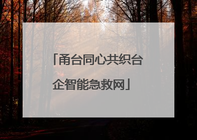 甬台同心共织台企智能急救网