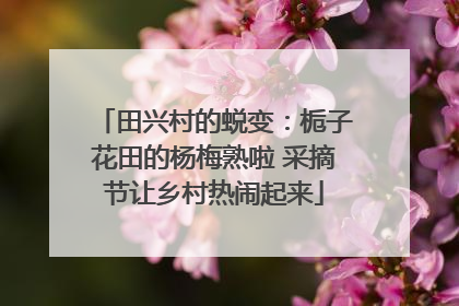 田兴村的蜕变：栀子花田的杨梅熟啦 采摘节让乡村热闹起来