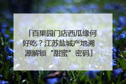 百果园门店西瓜缘何好吃？江苏盐城产地溯源解锁“甜蜜”密码