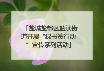 盐城盐都区盐渎街道开展“绿书签行动”宣传系列活动