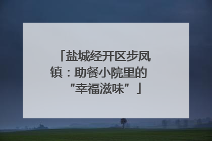 盐城经开区步凤镇：助餐小院里的“幸福滋味”