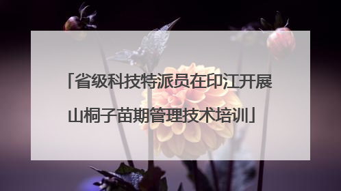 省级科技特派员在印江开展山桐子苗期管理技术培训