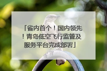 省内首个！国内领先！青岛低空飞行监管及服务平台完成部署