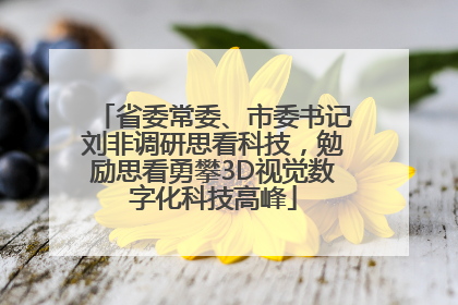 省委常委、市委书记刘非调研思看科技，勉励思看勇攀3D视觉数字化科技高峰