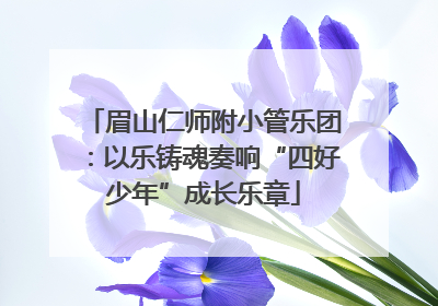 眉山仁师附小管乐团：以乐铸魂奏响“四好少年”成长乐章
