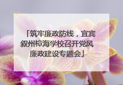 筑牢廉政防线，宜宾叙州樟海学校召开党风廉政建设专题会