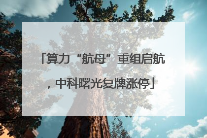 算力“航母”重组启航，中科曙光复牌涨停