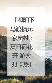 祁阳下马渡镇元家庙村：夏日荷花开 游客打卡热