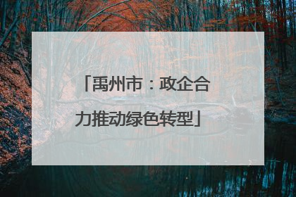 禹州市：政企合力推动绿色转型