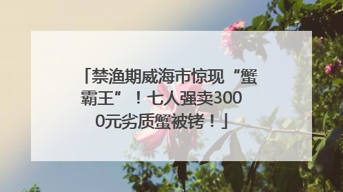禁渔期威海市惊现“蟹霸王”！七人强卖3000元劣质蟹被铐！