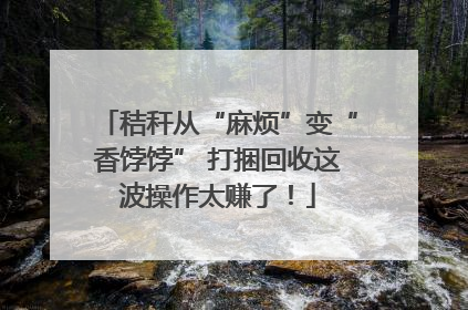 秸秆从“麻烦”变“香饽饽” 打捆回收这波操作太赚了！