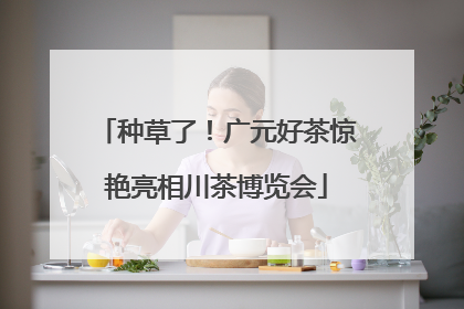 种草了！广元好茶惊艳亮相川茶博览会