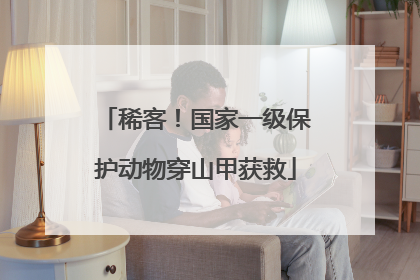 稀客！国家一级保护动物穿山甲获救