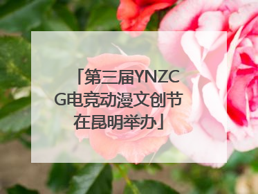 第三届YNZCG电竞动漫文创节在昆明举办
