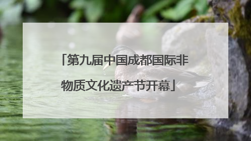 第九届中国成都国际非物质文化遗产节开幕