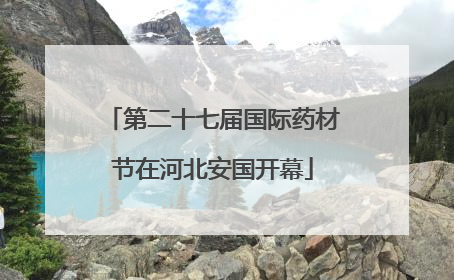 第二十七届国际药材节在河北安国开幕