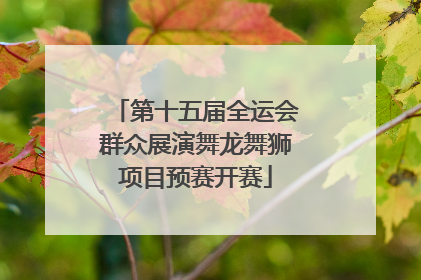 第十五届全运会群众展演舞龙舞狮项目预赛开赛