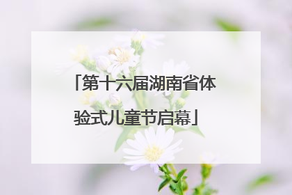第十六届湖南省体验式儿童节启幕